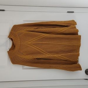 Gone Feb28-Mustard sweater